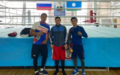 За кулисами ринга: Тренировки и режимы питания профессиональных боксеров -  Спорт Армении