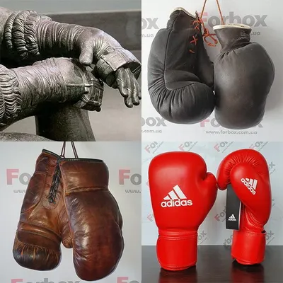 Боксерская перчатка, Red Boxing Glove, спорт, медаль png | PNGEgg