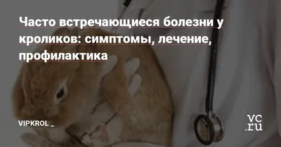 Часто встречающиеся болезни у кроликов: симптомы, лечение, профилактика —  VipKrol _ на vc.ru