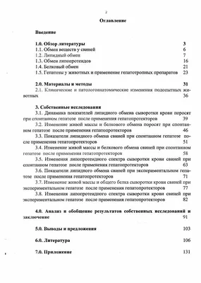 В российском регионе ввели режим ЧС из-за вспышки африканской чумы свиней -  KrasnoyarskMedia.ru