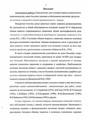 Витамины для свиней: виды, особенности и советы по применению