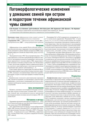 Клостридиоз и меры борьбы с ним в промышленном свиноводстве -  avamarket.com.ua