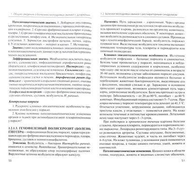 Африканская чума свиней и птичий грипп снова в России. Главное | 360°