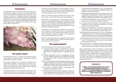 Свиньи | Alltech Mycotoxin Management