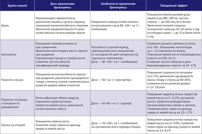 Африканская чума свиней: симптомы и лечение