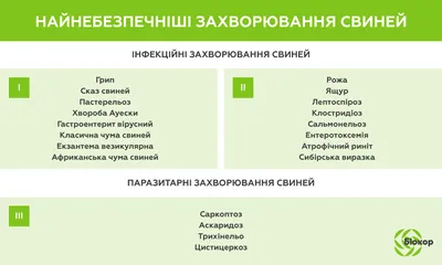 Хром в кормлении свиней: незаменимый элемент