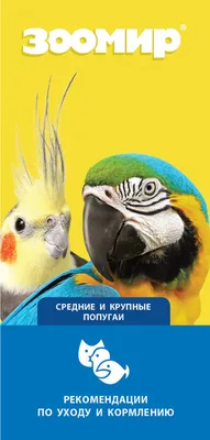 Волнистые попугаи: как выбрать птенца, где купить, как ухаживать, что нужно  знать перед покупкой