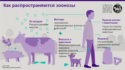 НАПРЯЖЕННОСТЬ ГУМОРАЛЬНОГО ПОСТВАК- ЦИНАЛЬНОГО ИММУНИТЕТА У СВИНЕЙ, ПРИ-  ВИТЫХ ПРОТИВ РОЖИ ВАКЦИНОЙ ИЗ ШТАМ- МА ВР-2, НА ФОНЕ ПРИМЕНЕНИЯ ЩЕЛОЧНОЙ  ФРАКЦИИ ЭЛЕКТРОХИМИЧЕСКИ АКТИВИРО- ВАННОЙ ВОДЫ – тема научной статьи по  ветеринарным наукам