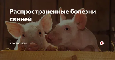 Риск профзаболеваний у работающих со свиньями и свининой - Статьи -  pig333.ru, от фермы к рынку