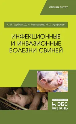 Африканская чума свиней – особо опасная болезнь