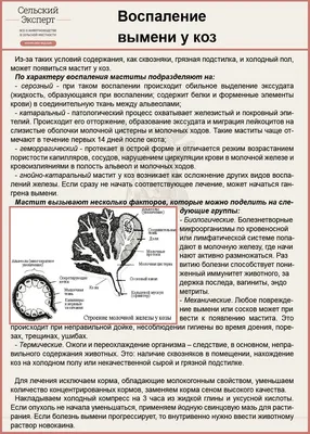 Профилактика и лечение мастита у коз — АгроXXI