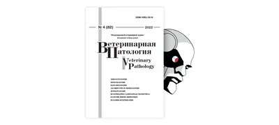 ИЗМЕНЕНИЯ В КРОВИ И МОЧЕ У БОЛЬНЫХ КОЗ ПОСЛЕ ОКОТА С ВОСПАЛЕНИЕМ ВЫМЕНИ И  ОСЛОЖНЕНИЕМ МОЧЕВЫДЕЛИТЕЛЬНОЙ СИСТЕМЫ – тема научной статьи по клинической  медицине читайте бесплатно текст научно-исследовательской работы в  электронной библиотеке