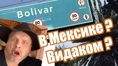 Арт-завтрак «Надев широкий боливар» | 2 декабря в Санкт-Петербурге, 2  декабря 2022: купить билеты — Кавёр