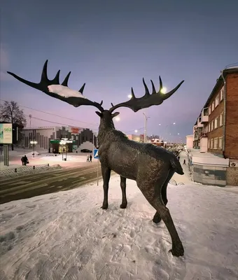 File:Гигантский олень Megaloceros giganteus.JPG - Wikimedia Commons