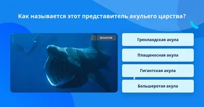 Пелагическая большеротая акула Hungry Shark World Megamouth - YouTube