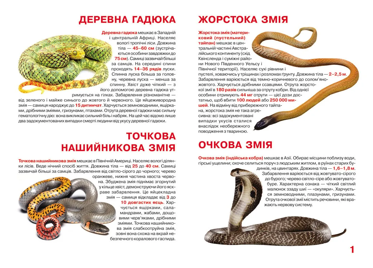 Читать про змею