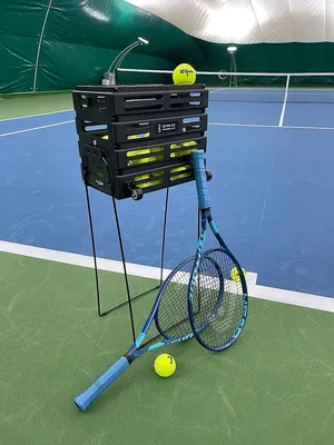 https://www.instagram.com/royalace.tennis.club/