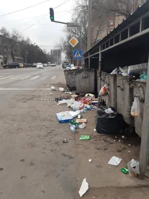 На Гоголя-Фрунзе бомжи раскидывают мусор. Фото