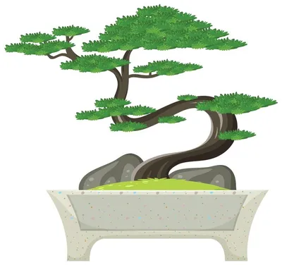 Дерево бонсай Изображения – скачать бесплатно на Freepik
