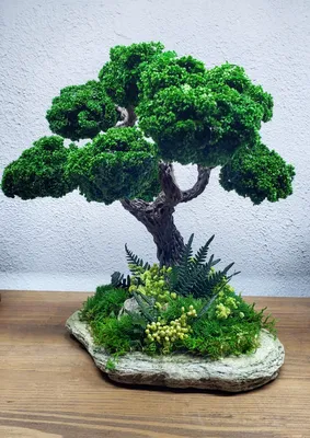 ᐉ Бонсай на камне Magic Gardens со стабилизированными растениями 25х24 см