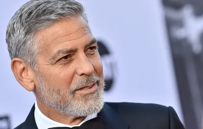 Обои борода, актёр, Джордж Клуни, George Clooney, седина картинки на  рабочий стол, раздел мужчины - скачать