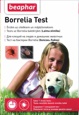 Клещевой тест Beaphar BORRELIA TEST, тест на боррелиоз (Болезнь Лайма) 1шт:  цена, описание, отзывы