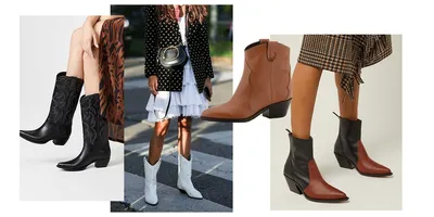 Сапоги женские - Женская обувь - Обувь - Сапоги казаки,квадратный нос  коричневый натуральная кожа 650-KOR HOLIDAY Украина 42(р)