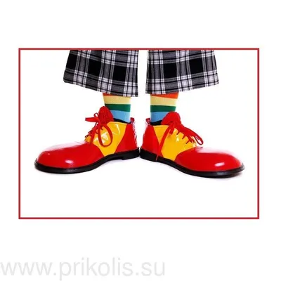 Ботинки клоуна фото