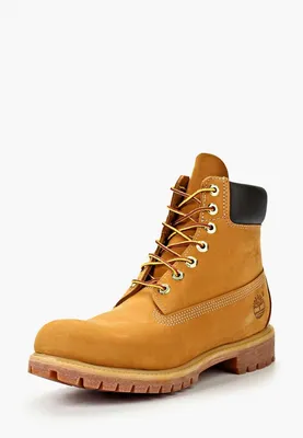 Ботинки Timberland Premium 6 in waterproof, цвет: коричневый, TI007AMKF621  — купить в интернет-магазине Lamoda