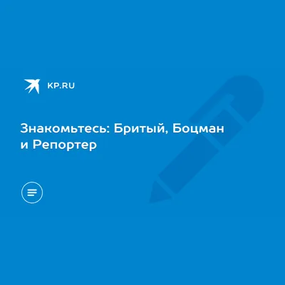 Изображение двух медвежат, обнимающихся вместе животные дикой природы  иллюстрация генеративный ai | Премиум Фото