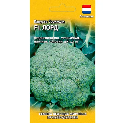 Купить Капуста брокколи Лорд 10шт F0000036868 за 65руб. |Garden-zoo.ru