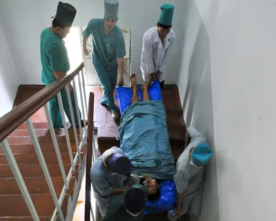 Минздрав Киргизии подтвердил вспышку бубонной чумы — РБК