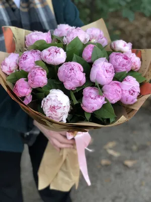 Букет из 19 розовых пионов \