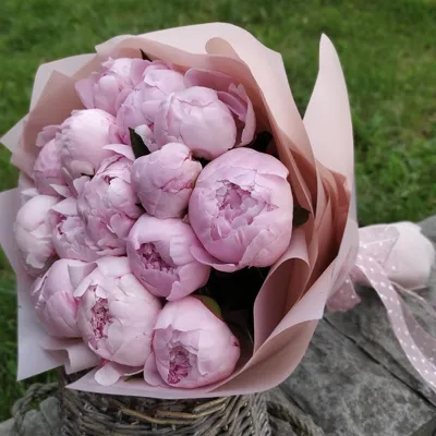 Купить букет из розового пиона | 101 пион с доставкой по Киеву