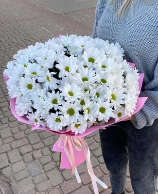 Заказать цветы Большой букет ромашек с доставкой по Беларуси | Happybee.by