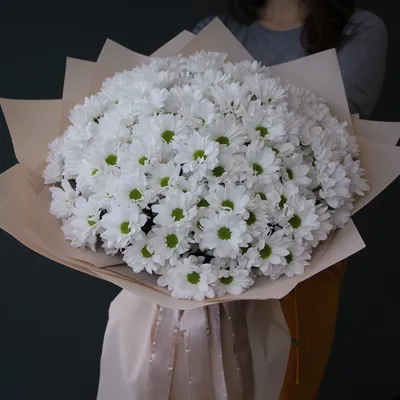 LEPESTKI - Доставка цветов во Владивостоке. Купить «Букет Ромашек XL» за  9970 рублей