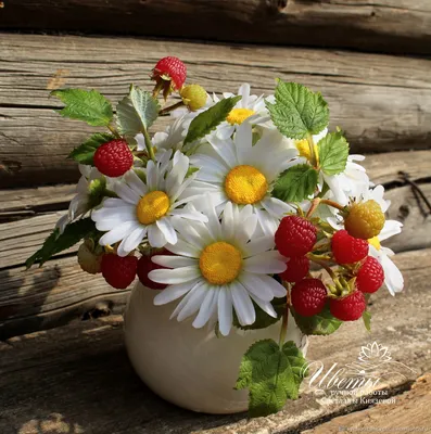 Букет садовых ромашек – заказать на Ярмарке Мастеров – J6V84BY | Цветы,  Щекино