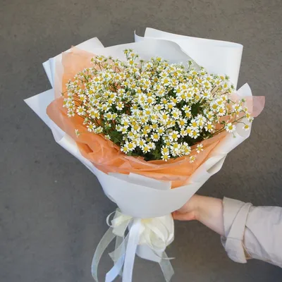 Недорогой букет ромашек: сотни соцветий в одном букете! по цене 2596 ₽ -  купить в RoseMarkt с доставкой по Санкт-Петербургу