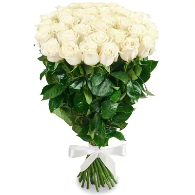 Букет из 35 белых роз Премиум (80 см) купить недорого, доставка - магазин  цветов Абари в Омске