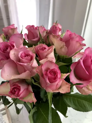 Букет роз 💐 | Красивые цветы, Цветочные букеты, Розы