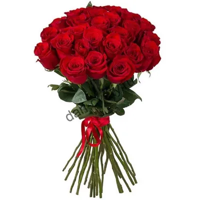Букет роз 25 штук «Желание» - купить по выгодной цене в Чите
