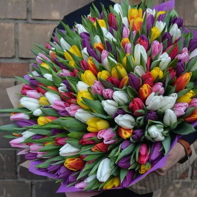 Огромный букет тюльпанов, Цветы и подарки в Москве, купить по цене 39999  руб, Монобукеты в Fashion Flowers с доставкой | Flowwow
