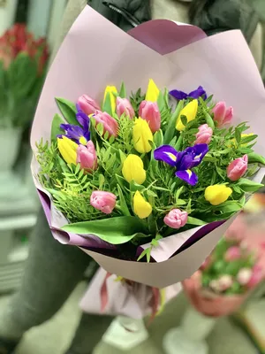 Купить Букет тюльпанов Т27 в Бресте | Говорящие цветы