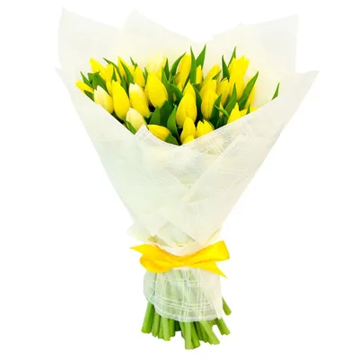 Tulipa. Жёлтый большой букет тюльпанов по цене 8400 ₽ - купить в RoseMarkt  с доставкой по Санкт-Петербургу