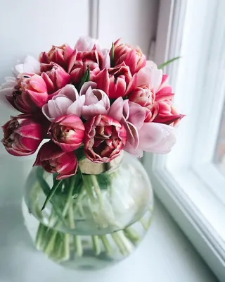 Фото Букет тюльпанов в вазе на окне, by birgittetheresa