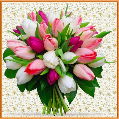 Красивые букеты Тюльпанов - картинки и фото цветов