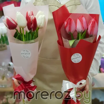 Букет из 7 тюльпанов • MoreRoz.By Доставка по Минску