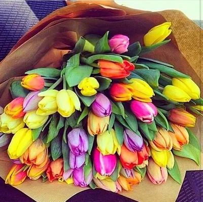 Букет тюльпанов с пожеланиями - 63 фото