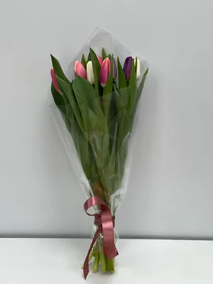 7 тюльпанов (7 букетов) – купить в Пушкино и Московской области – Городская  База Цветов