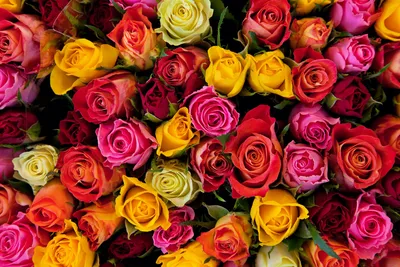 Букетов цветов картинка #497883 - Букеты - красивые фото и картинки лучших  букетов цветов - скачать